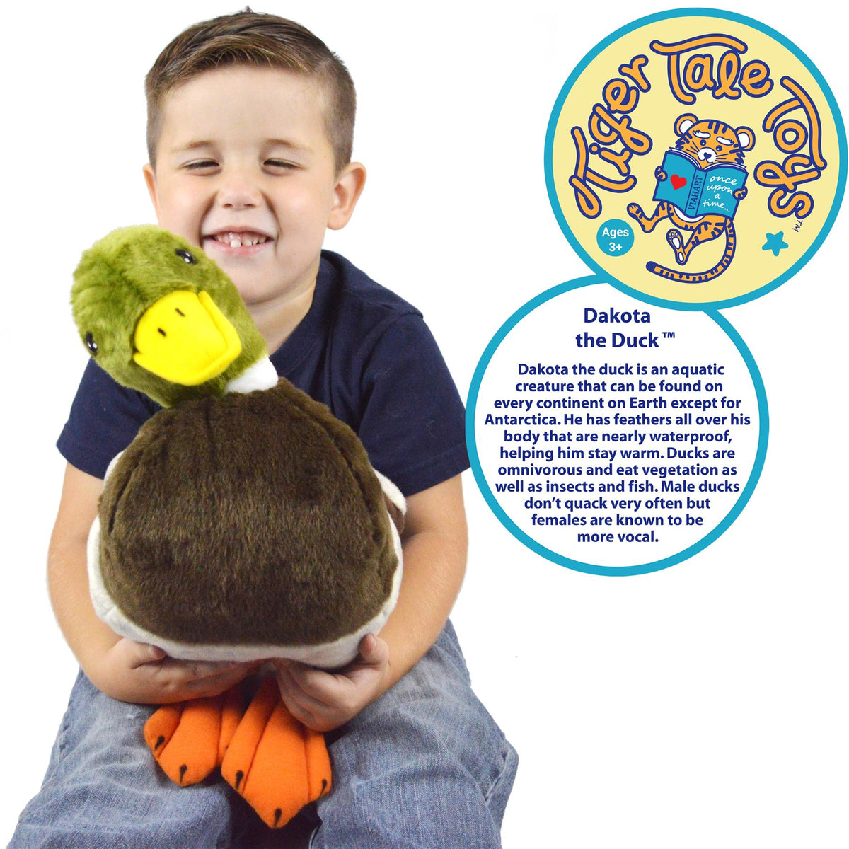 1 Foot Large Stuffed Animal Plush C38281