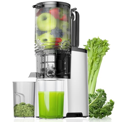 Cold Press Juicer 5.8" Wide Feed Chute 400W Slow Masticating Juicer L529