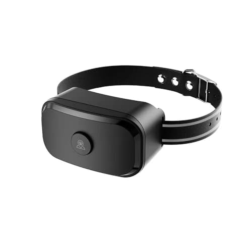 GPS Dog Fence with Remote Training Waterproof Collar System W480121