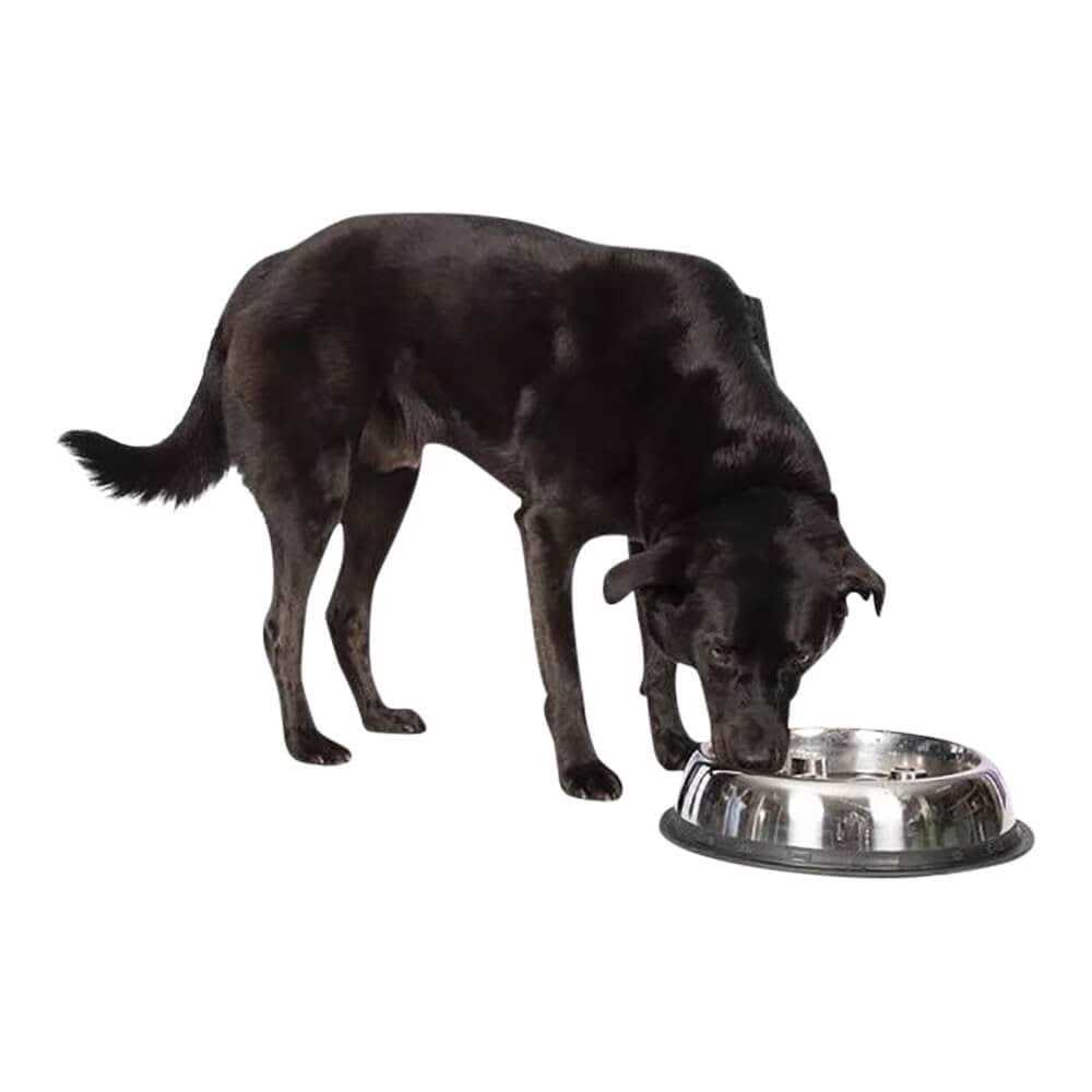 Stainless Steel Dog Bowl N7379