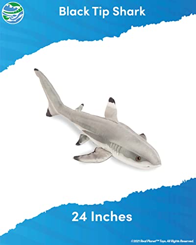 Black Tip Shark 24" Plush Toy V573