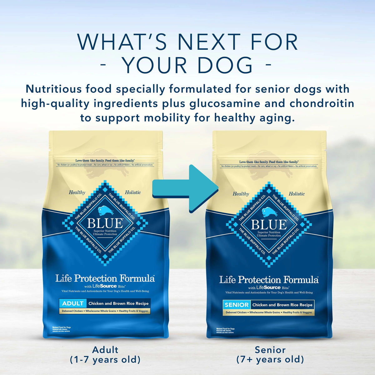 Chicken and Brown Rice Dry Dog Food 15 lb. Bag B567918