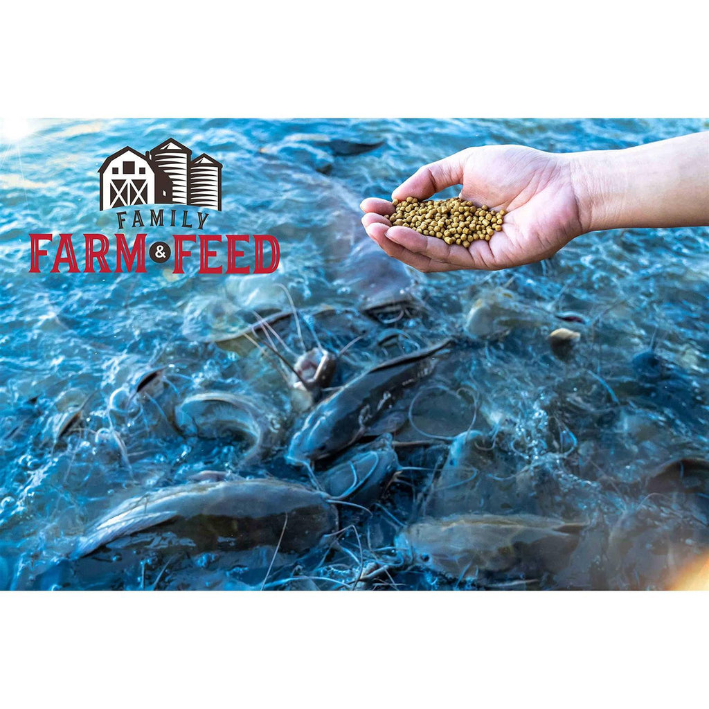 Floating Fish Food F844291