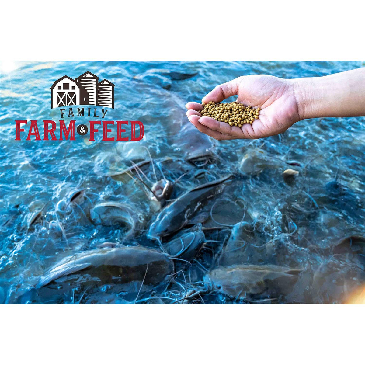 Floating Fish Food F844291