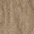 Scoopable Kitten Litter H261256