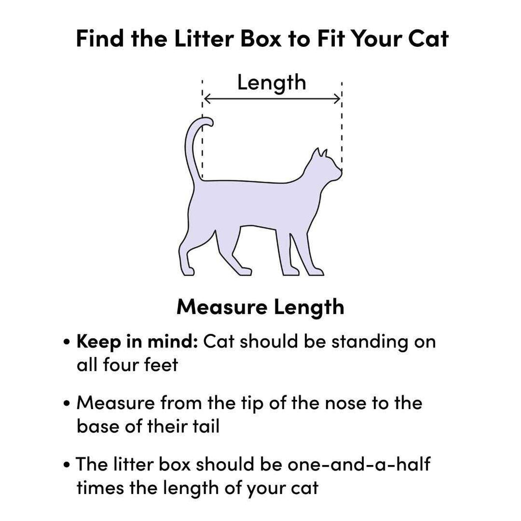 Cat Litter Pan Z6612