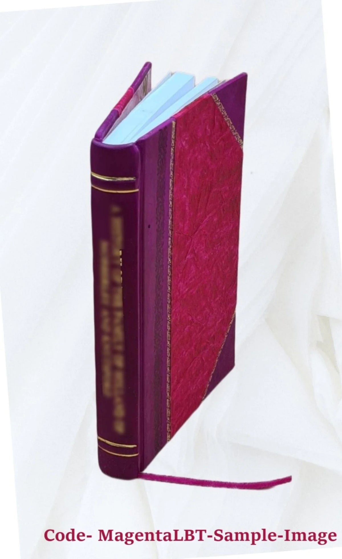 Leather Bound Book S508