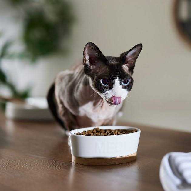 Chicken & Pomegranate Dry Cat Food B2318