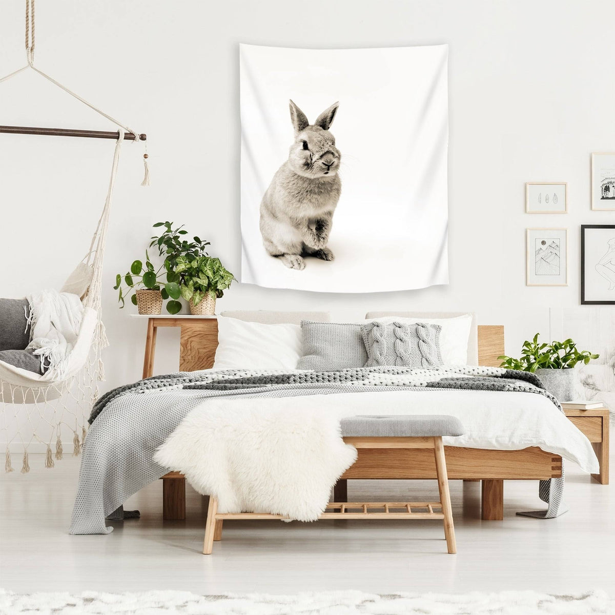 Rabbit Photo 26x36 K681783