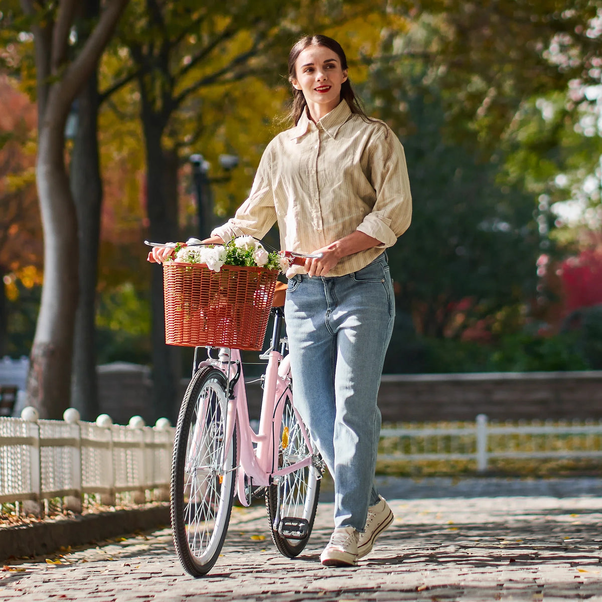 24 Inch City Cruiser Bicycle with Carbon Steel Frame Dual V Brakes Basket Y817