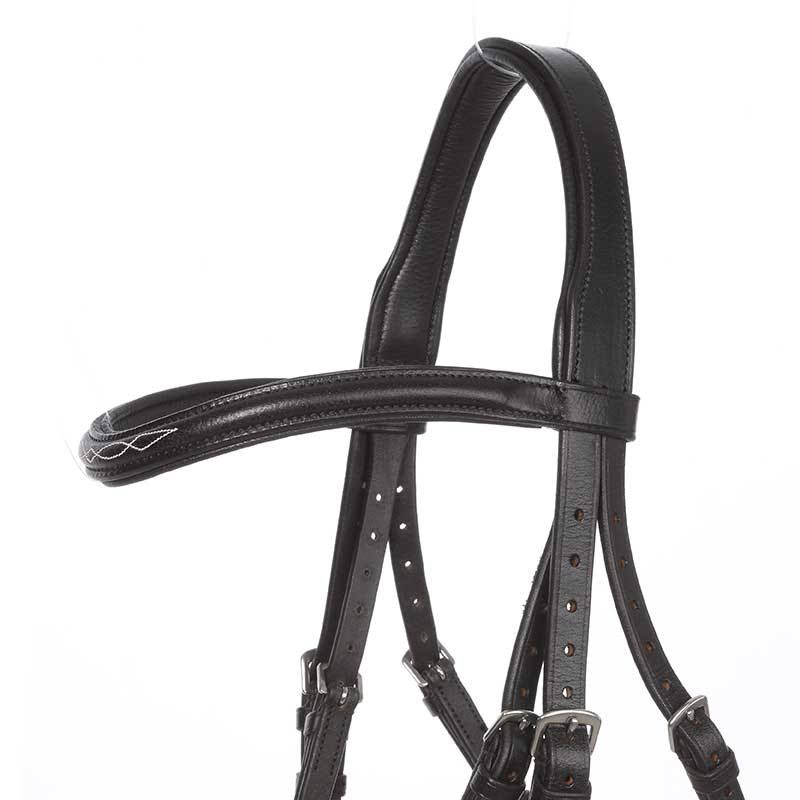 Bridle N2845