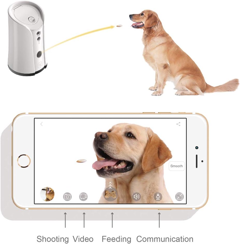WiFi Pet Camera with Two-Way Audio and Night Vision I66120