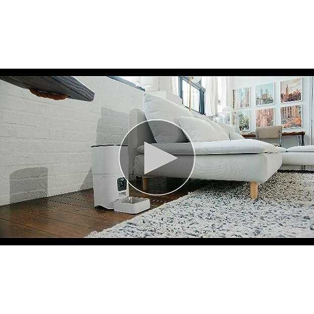 6-L Automatic Cat Feeder with LCD Screen L9325
