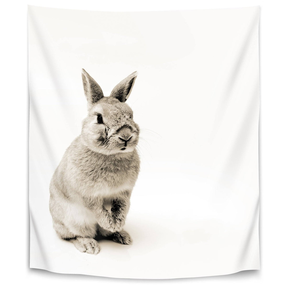 Rabbit Photo 26x36 K681783