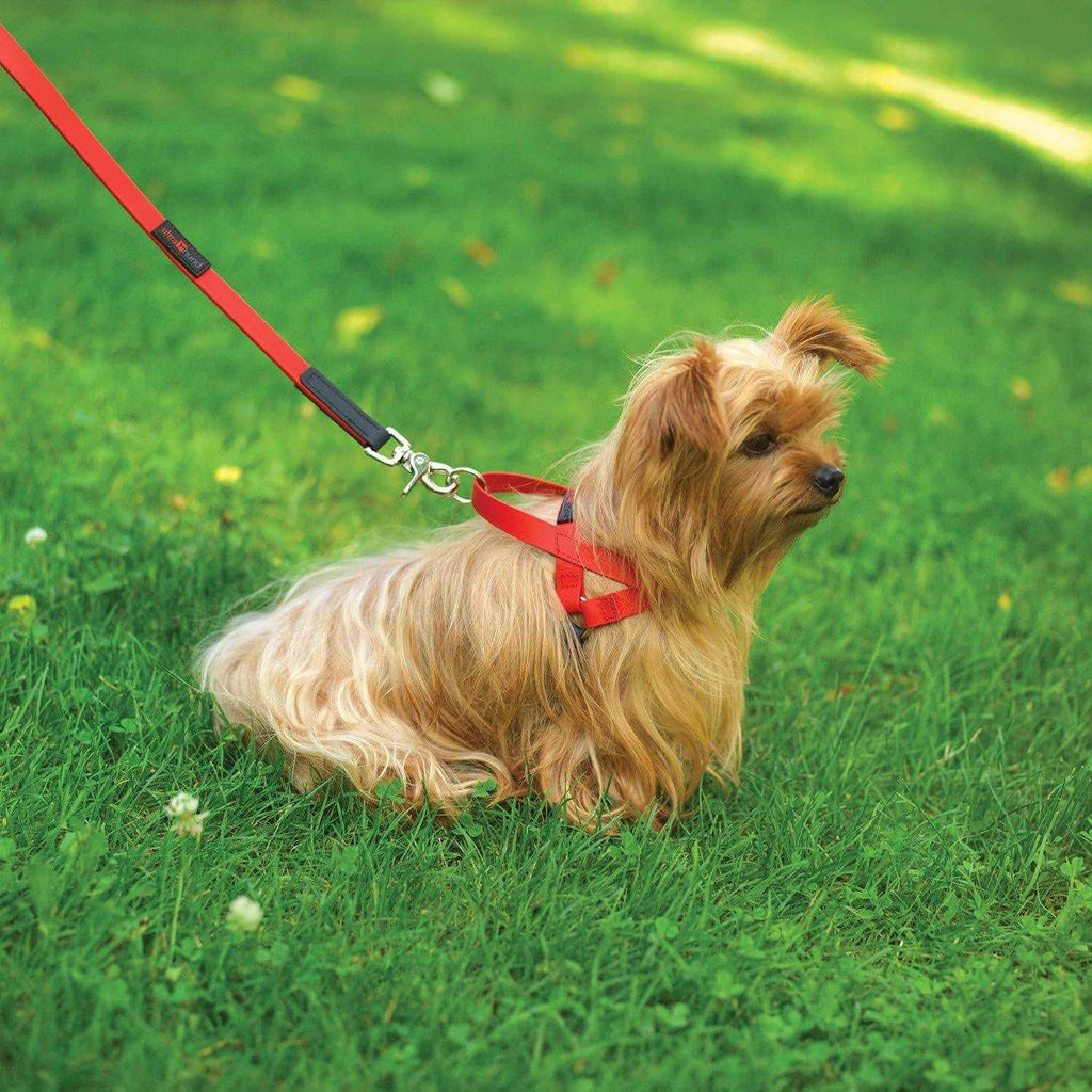 Harness X53876