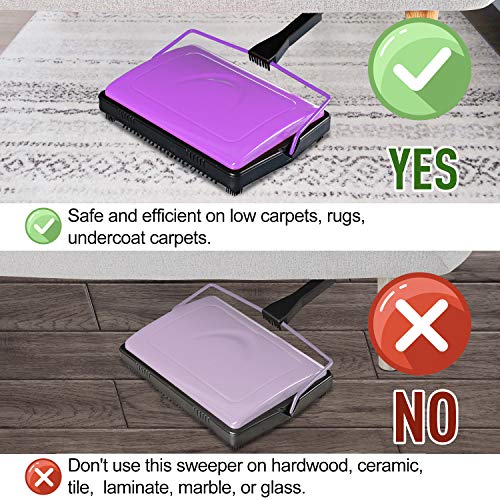 Carpet Sweeper with Brush G953008