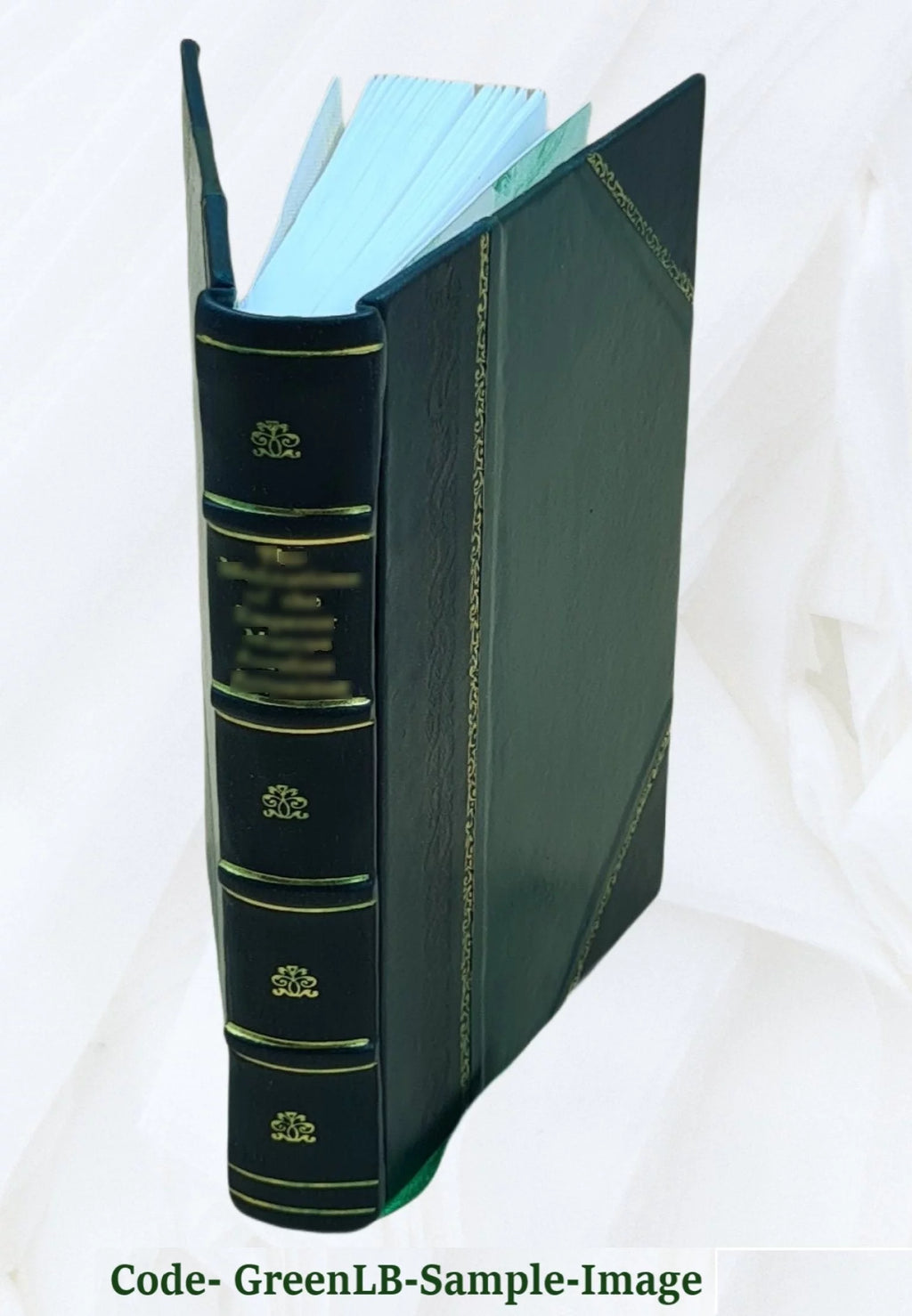 Leather Bound X9319